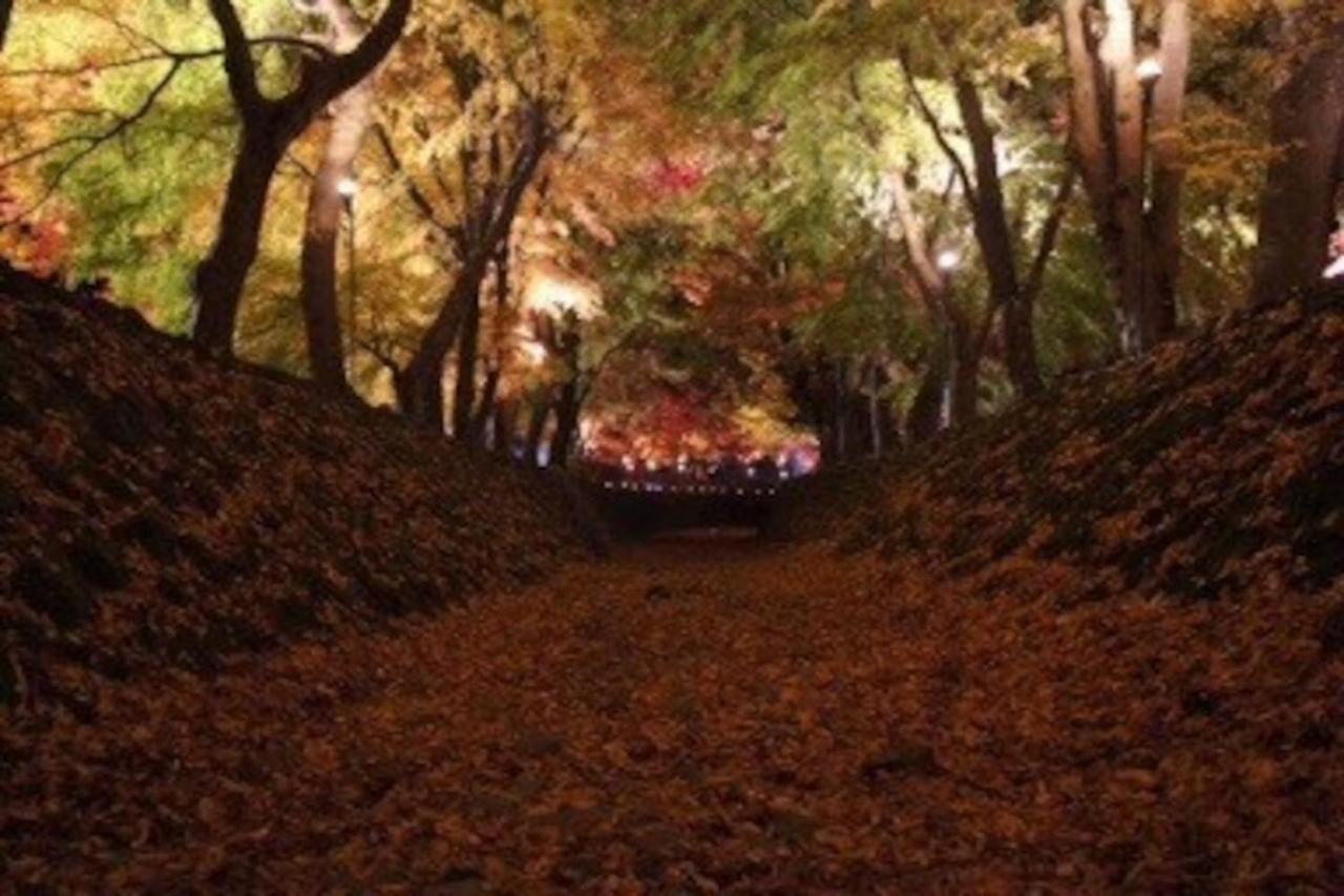 Enico,Mt,Fuji Nagomi和 旧 Tocoro,Mt,Fuji Uzuki Villa ฟูจิคาวากุจิโกะ ภายนอก รูปภาพ