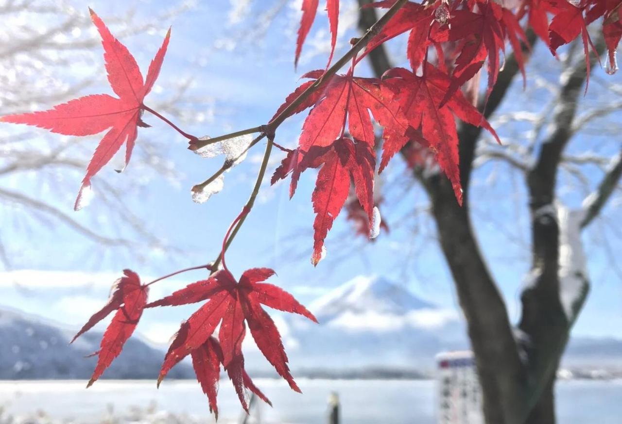 Enico,Mt,Fuji Nagomi和 旧 Tocoro,Mt,Fuji Uzuki Villa ฟูจิคาวากุจิโกะ ภายนอก รูปภาพ